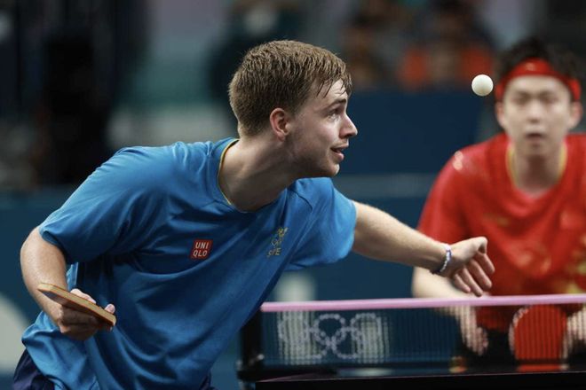 队的精心栽 队的精心栽